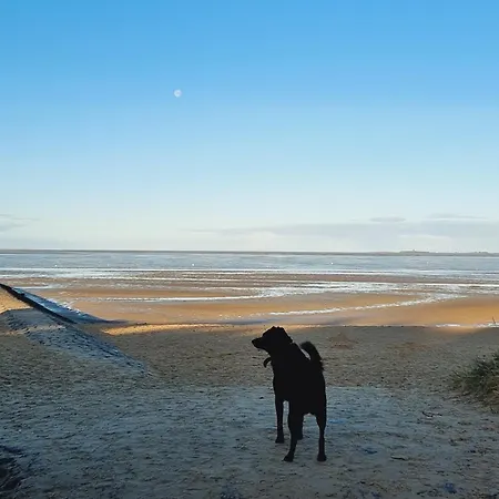 Apartment Haus Nordseebrandung B64 Cuxhaven