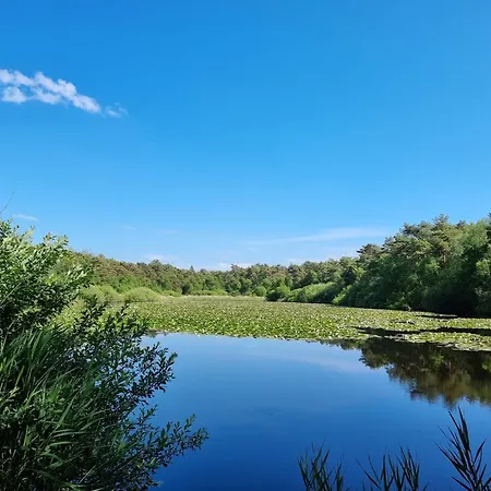 Apartment Haus Nordseebrandung B64 *