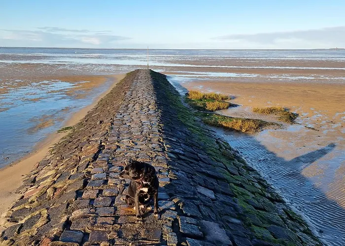 Haus Nordseebrandung B64